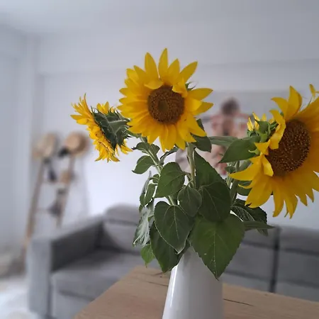 Alya Sea Escape - Parcare Gratuita 科斯蒂内什蒂