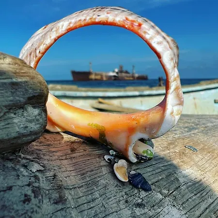 Alya Sea Escape - Parcare Gratuita Costinesti