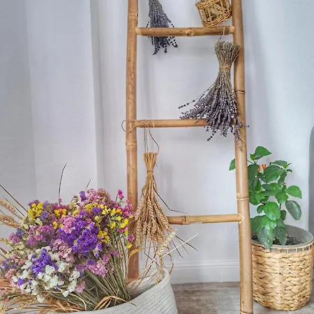 Alya Sea Escape - Parcare Gratuita