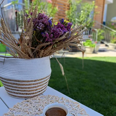 Pensión Alya Sea Escape - Parcare Gratuita