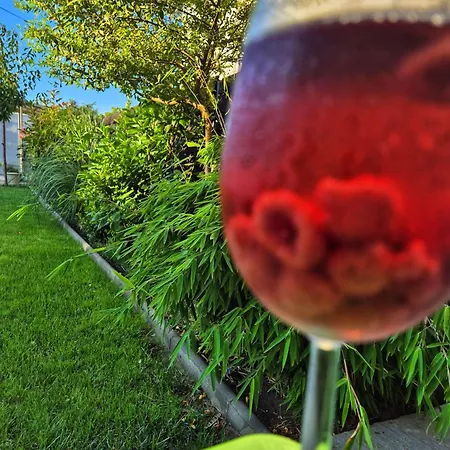 Pensión Alya Sea Escape - Parcare Gratuita 3*